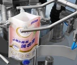 20-70 zakken Verpakkingssnelheid Automatische roterende zakverpakkingsmachine voor kant-en-klare zakken