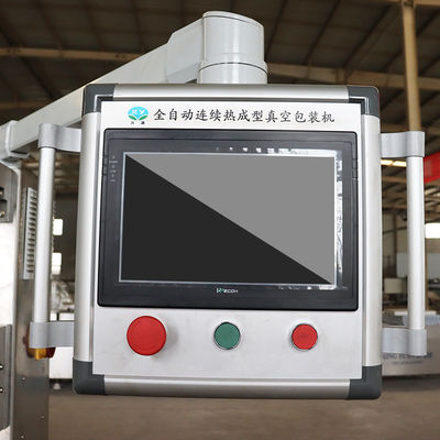 Form Container Bevroren vis Vacuüm Thermoforming Machine met Mitsubishi Components