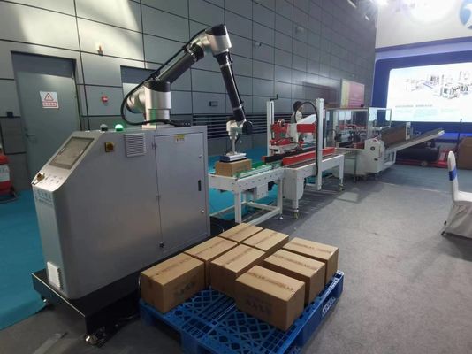 IP65 Verpakkingslijn met doos kartonnen zak, doos erector vouwverzegler palletsysteem