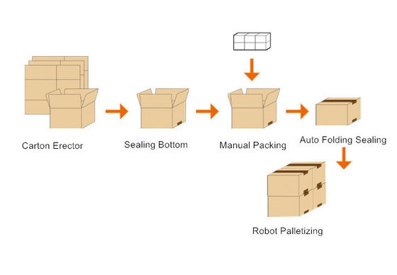 IP65 Verpakkingslijn met doos kartonnen zak, doos erector vouwverzegler palletsysteem