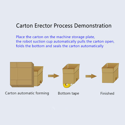 Volledig semi-automatische High Speed Carton Case Erector voor Carron Box
