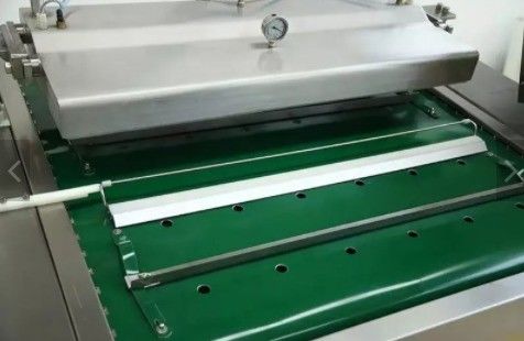 Elektrisch aangedreven 1000 dubbele strook auto bonenproducten en wilde groenten continue vacuümverpakkingsmachine