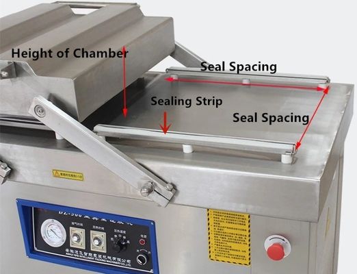 DZ800 Commerciële 3000W Vacuumpomp Verticale Afdichting Afdichter Dubbelkamer Verpakkingsmachine