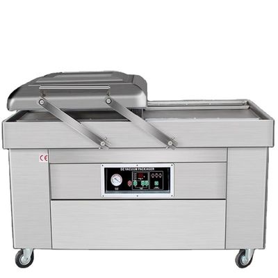 Industriële automatische vacuümverpakkingsmachine DZ-600/2S-A voor het conserveren van vissteak