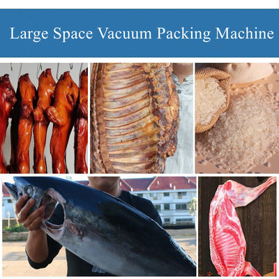 DZ-400/2L Vacuümverzegelaar voor vlees Kip vis vis vis vis vis rijst zee vis Lamm van lam Verpakking