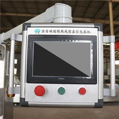 4800*850*2000mm Automatische thermoformende vacuümverpakkingsmachine voor kaasproducten
